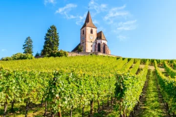 Alsace vineyard stay