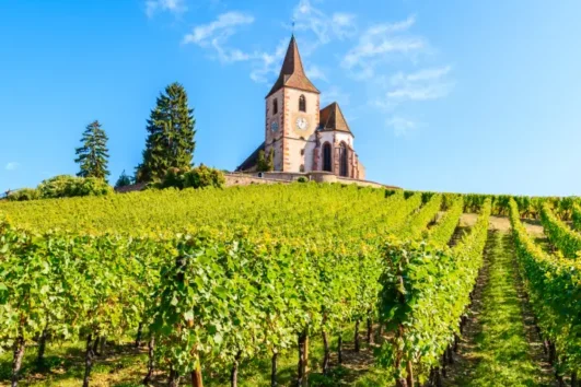 Alsace vineyard stay