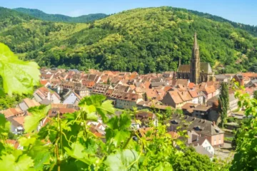Alsace wine road trip