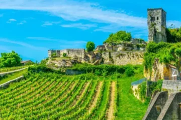 Bordeaux wine and dune tour