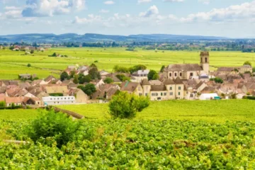 Burgundy small group food tour