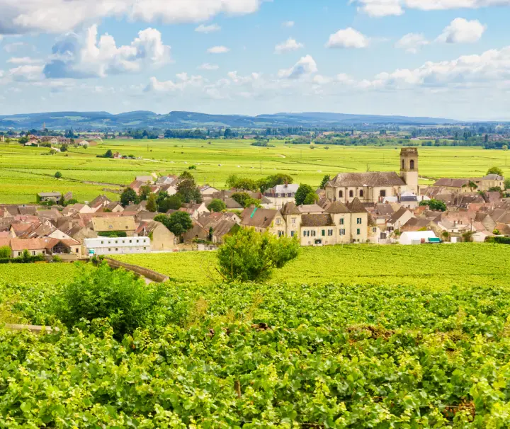 Burgundy small group food tour