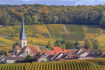 Champagne Vineyard Tour