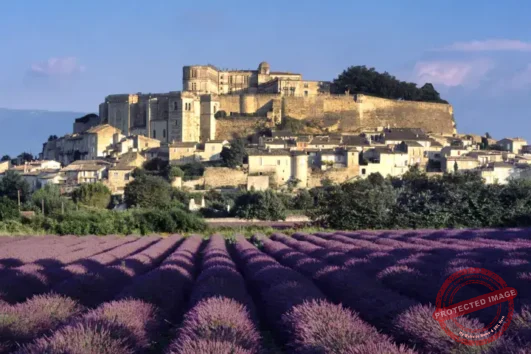 Drôme Provençale road trip